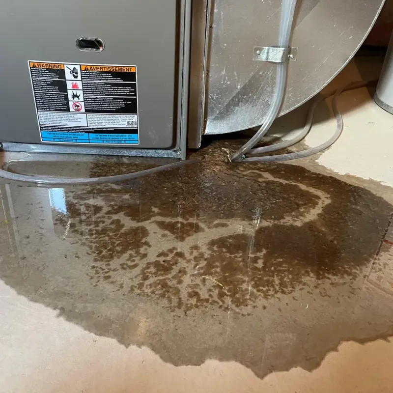 Appliance Leak Cleanup in East Machias, ME